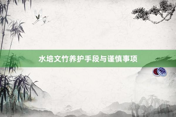 水培文竹养护手段与谨慎事项
