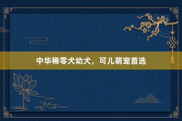 中华稀零犬幼犬，可儿萌宠首选