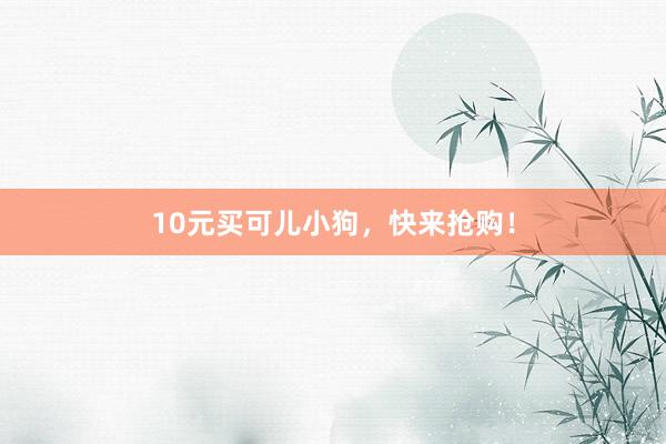 10元买可儿小狗，快来抢购！