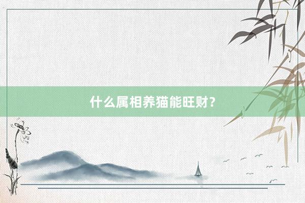 什么属相养猫能旺财？