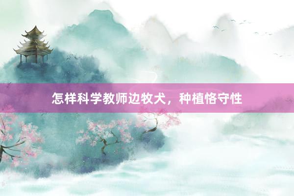 怎样科学教师边牧犬，种植恪守性